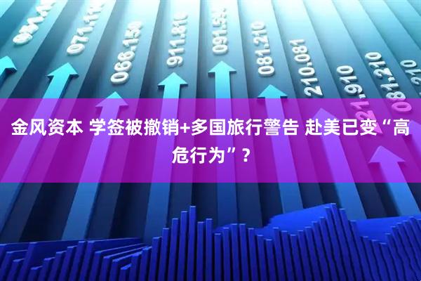 金风资本 学签被撤销+多国旅行警告 赴美已变“高危行为”？