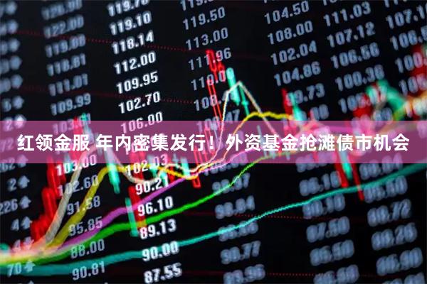 红领金服 年内密集发行！外资基金抢滩债市机会
