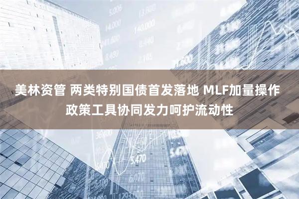 美林资管 两类特别国债首发落地 MLF加量操作 政策工具协同发力呵护流动性