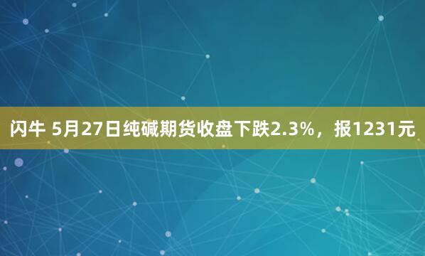 闪牛 5月27日纯碱期货收盘下跌2.3%，报1231元