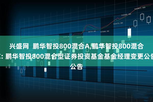 兴盛网  鹏华智投800混合A,鹏华智投800混合C: 鹏华智投800混合型证券投资基金基金经理变更公告