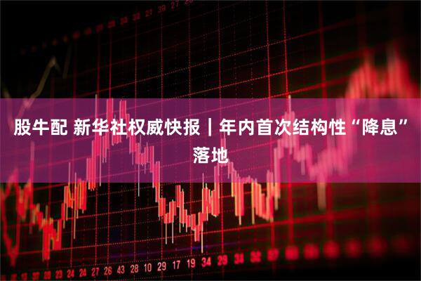 股牛配 新华社权威快报｜年内首次结构性“降息”落地