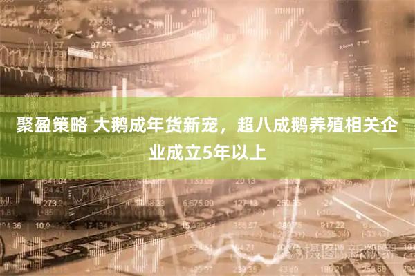 聚盈策略 大鹅成年货新宠，超八成鹅养殖相关企业成立5年以上