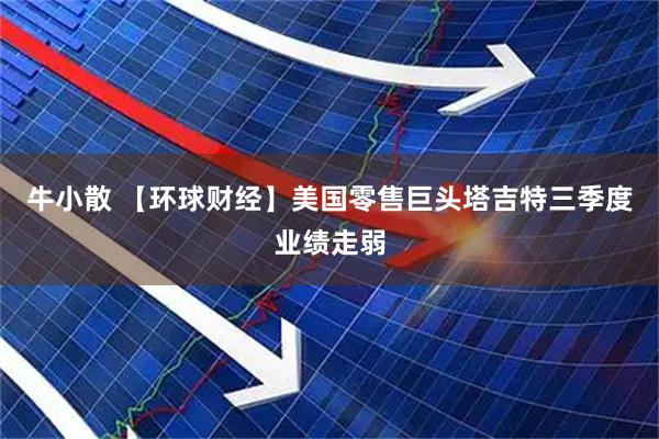 牛小散 【环球财经】美国零售巨头塔吉特三季度业绩走弱
